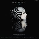 Cirque du Soleil - O