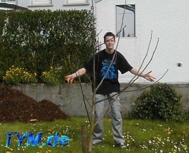 DJ and the tree