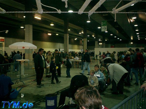 Swiss AJ Festival 2003