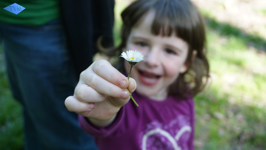 14. European Yo-Yo Meeting 2016 in Bratislava