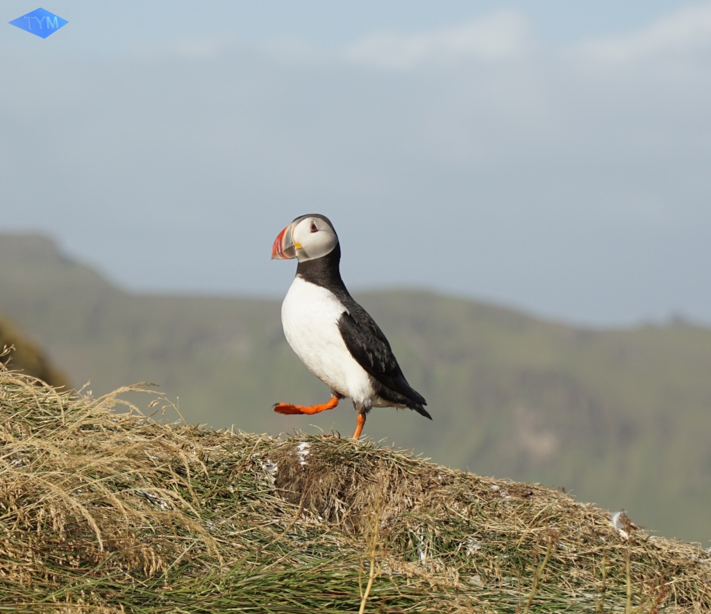 World Yo-Yo Contest Iceland 2017