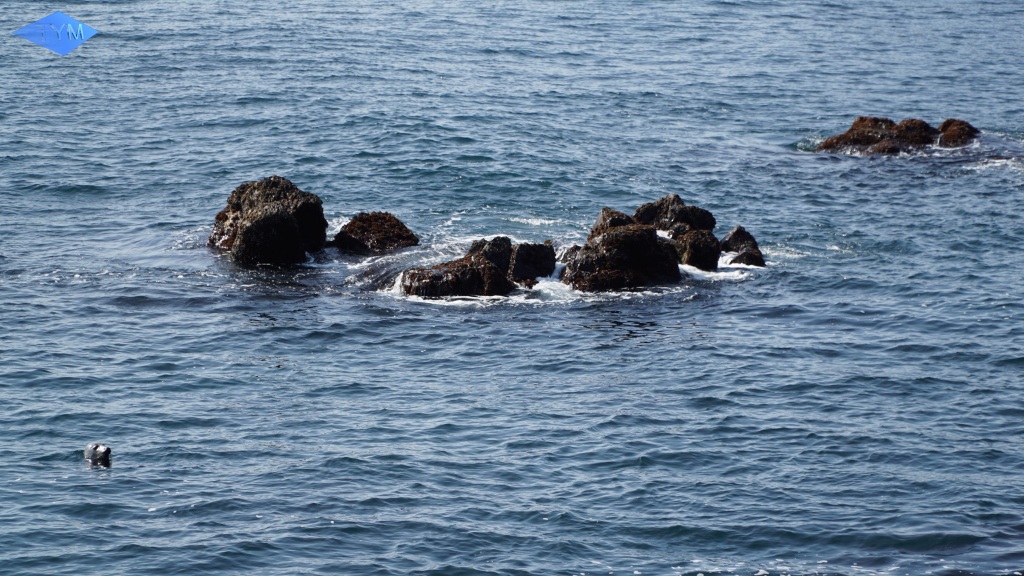 World Yo-Yo Contest Iceland 2017