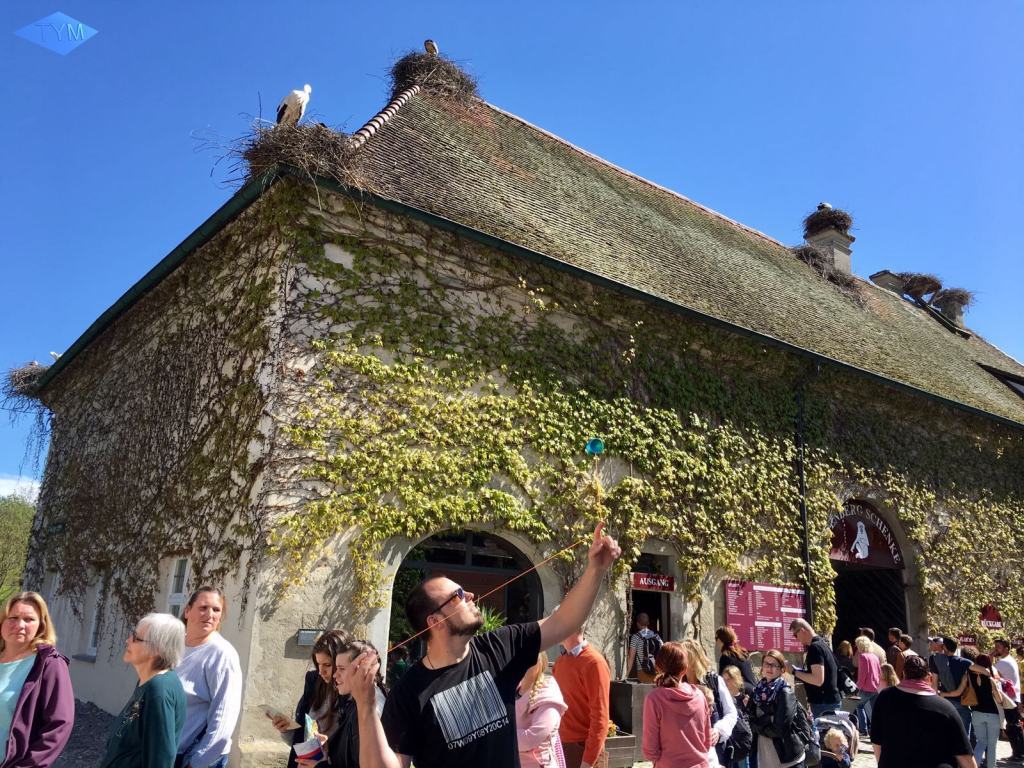 Not EYYM 2017 in Markdorf