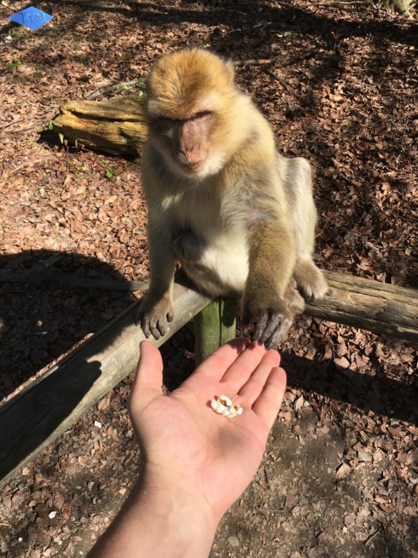 Not EYYM 2017 in Markdorf