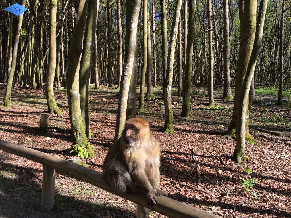 Not EYYM 2017 in Markdorf