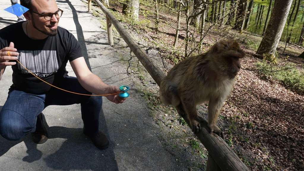 Not EYYM 2017 in Markdorf