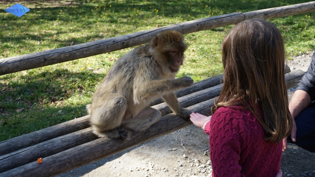 Not EYYM 2017 in Markdorf
