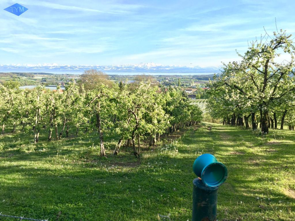 Not EYYM 2017 in Markdorf