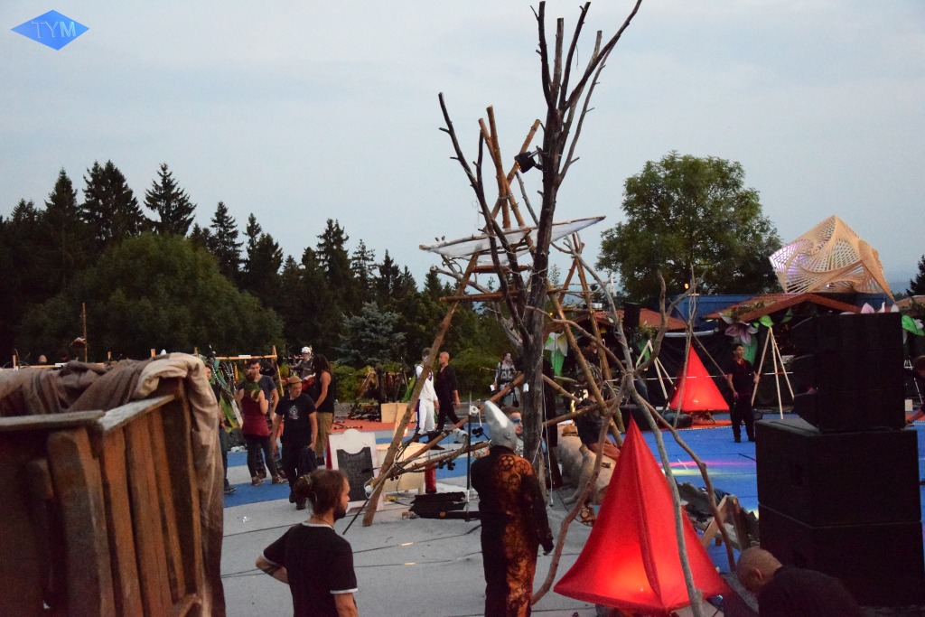 Phoenix Fire Convention