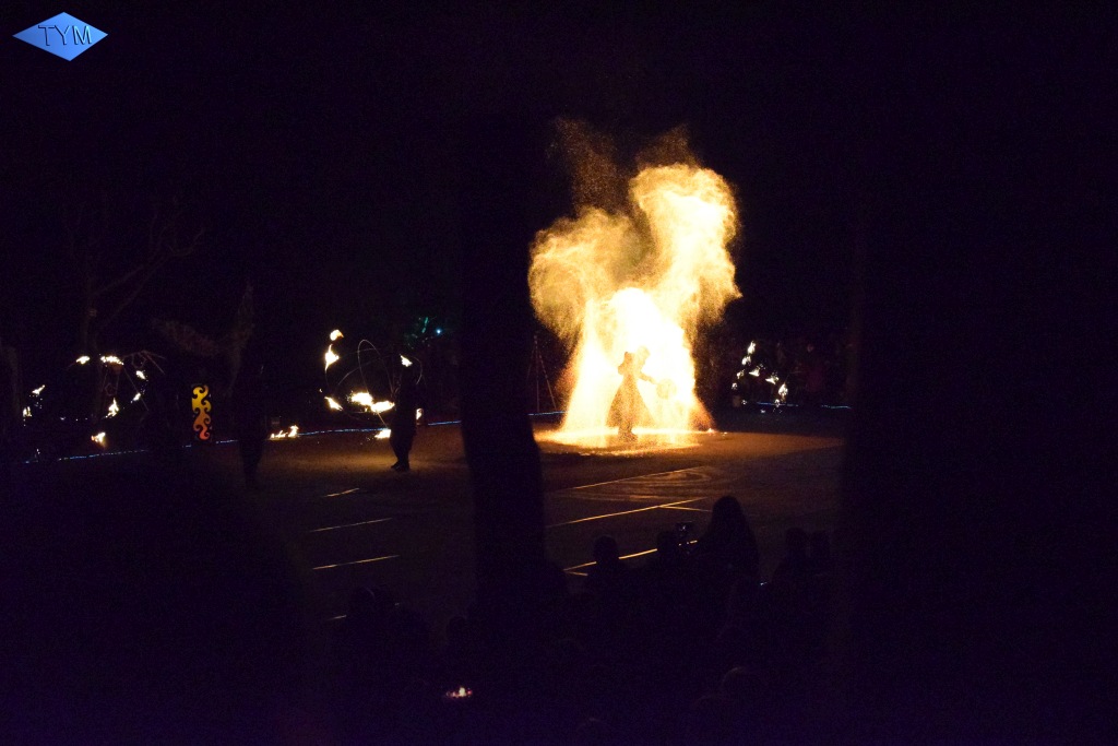 Phoenix Fire Convention