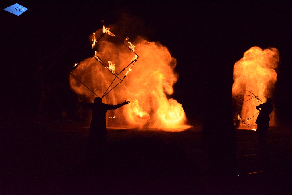 Phoenix Fire Convention