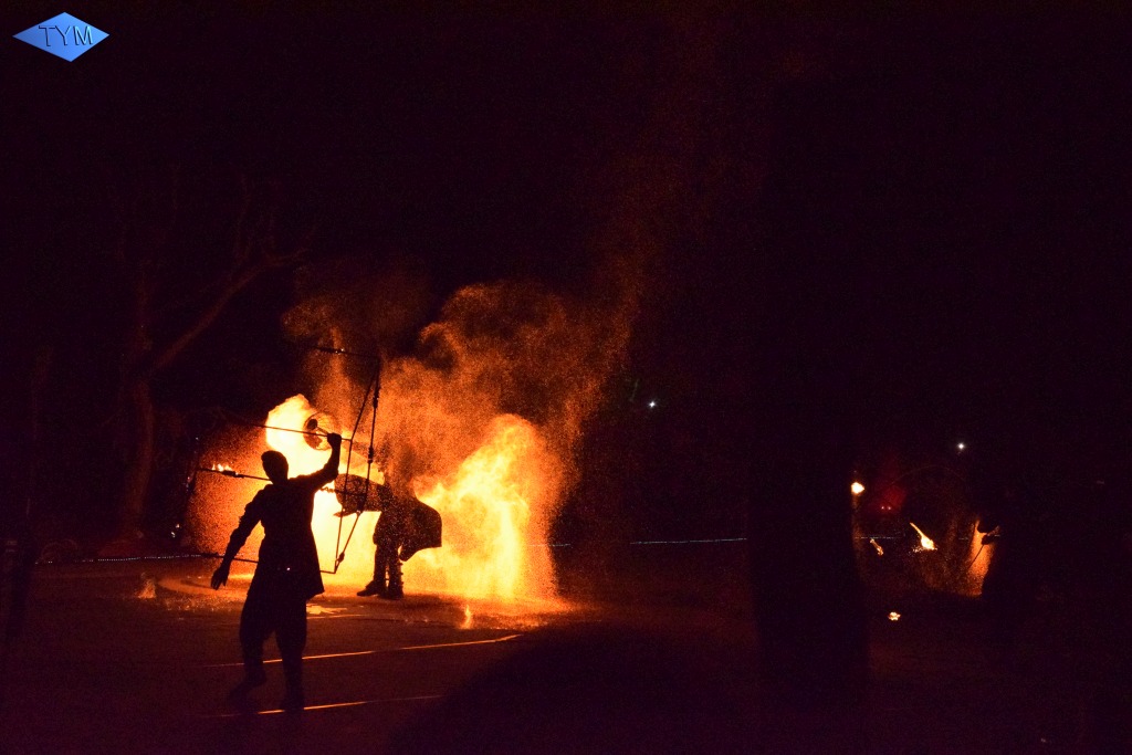 Phoenix Fire Convention