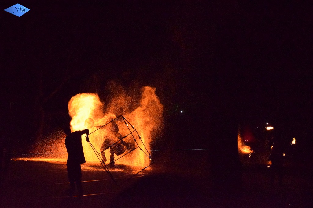 Phoenix Fire Convention