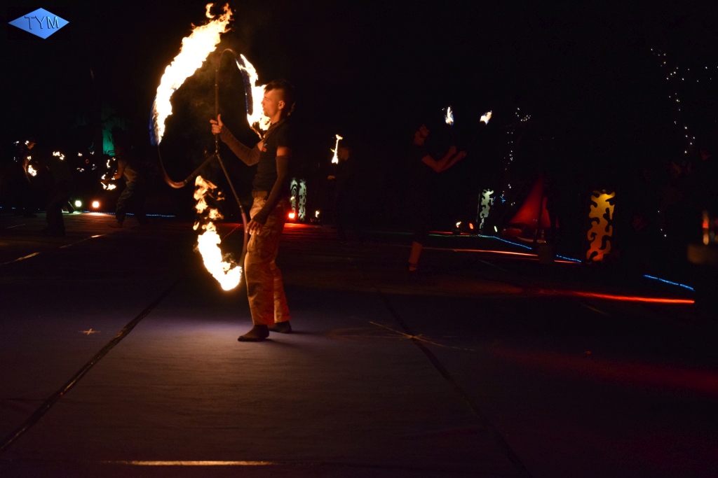 Phoenix Fire Convention