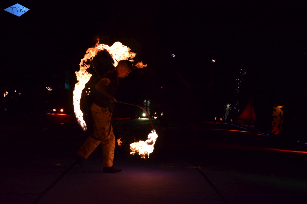 Phoenix Fire Convention