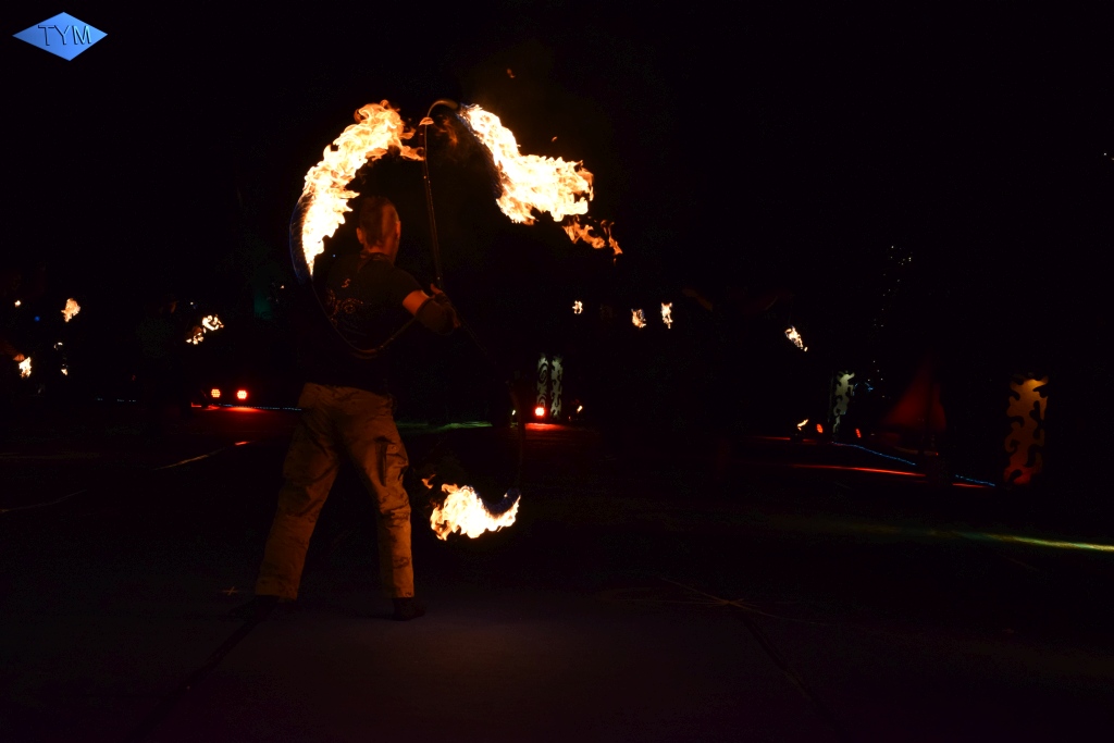 Phoenix Fire Convention