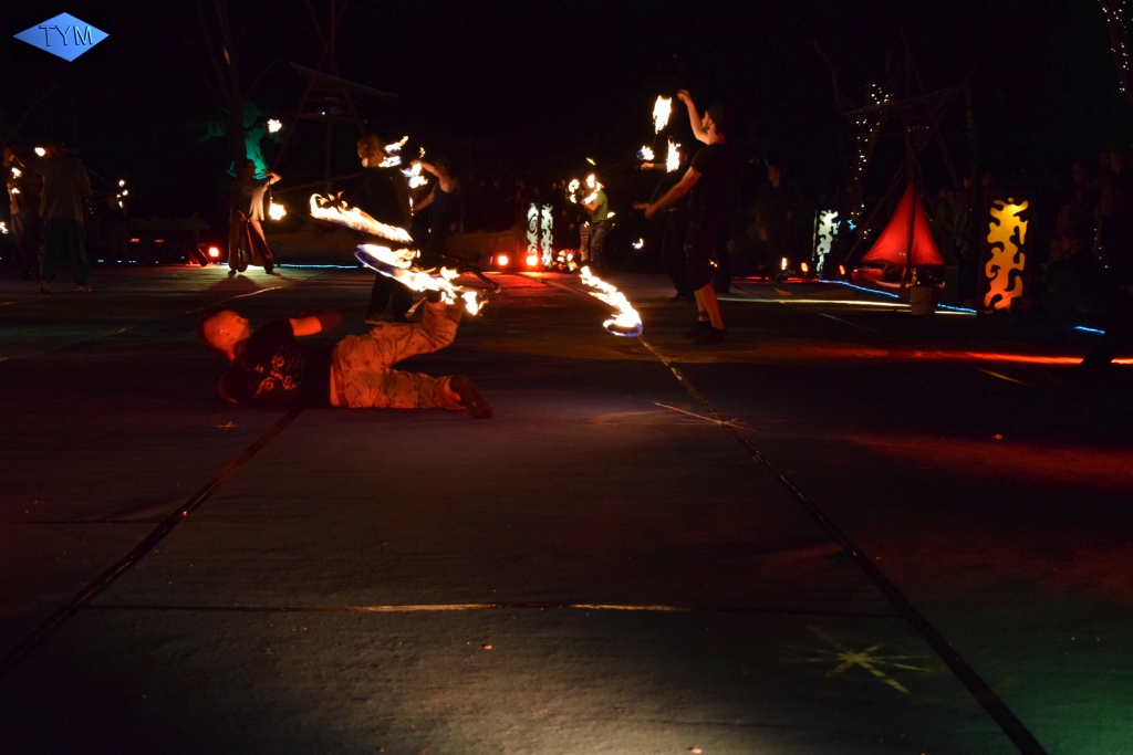 Phoenix Fire Convention