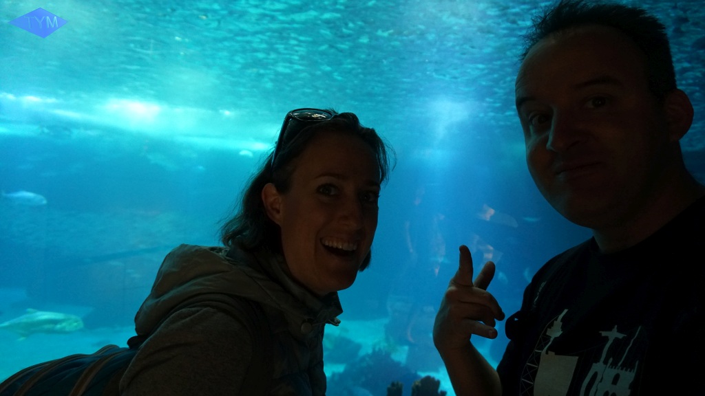 European Yo-Yo Meeting 2018 in Lisbon