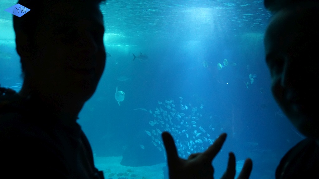 European Yo-Yo Meeting 2018 in Lisbon