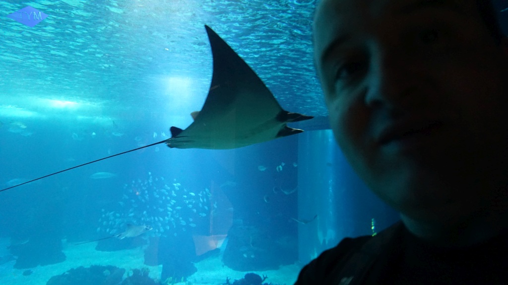 European Yo-Yo Meeting 2018 in Lisbon