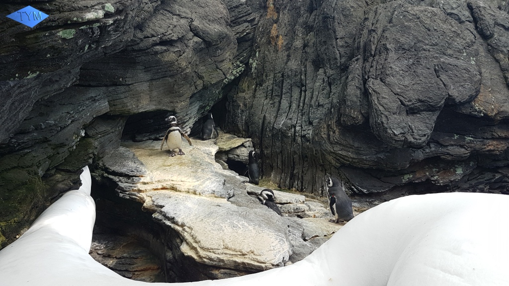 European Yo-Yo Meeting 2018 in Lisbon