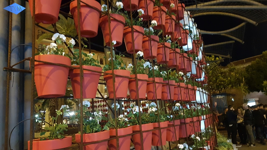 European Yo-Yo Meeting 2019 in Murcia