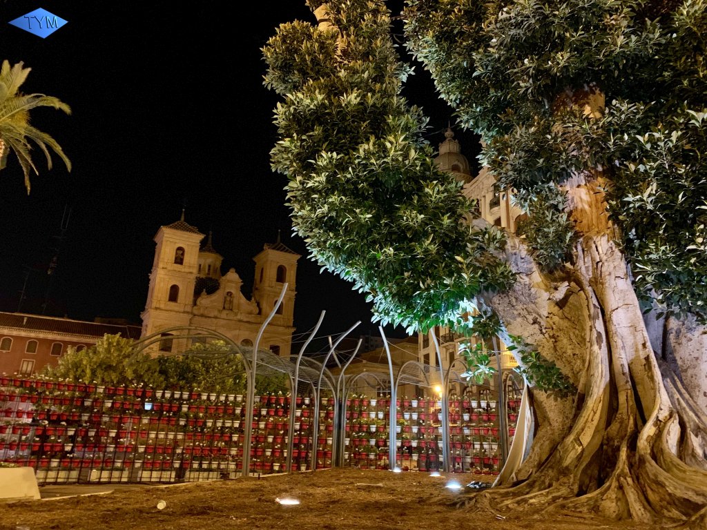 European Yo-Yo Meeting 2019 in Murcia