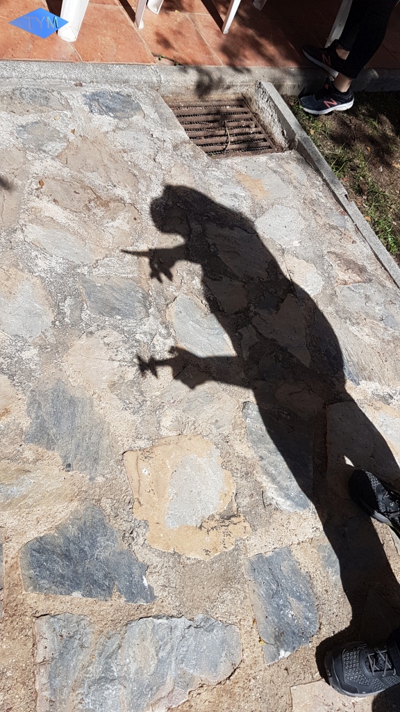 European Yo-Yo Meeting 2019 in Murcia