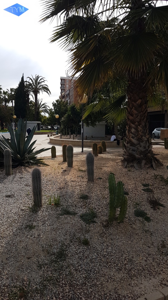 European Yo-Yo Meeting 2019 in Murcia