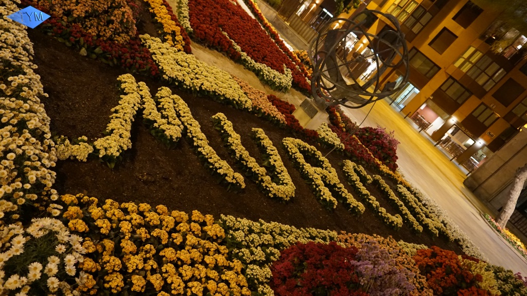 European Yo-Yo Meeting 2019 in Murcia