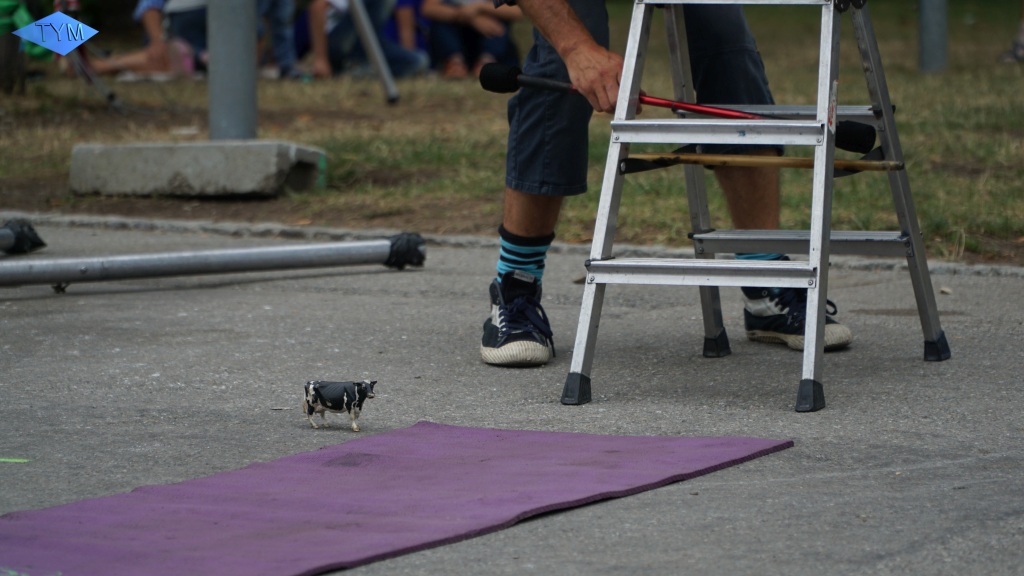 Kulturufer 2019 in Friedrichshafen