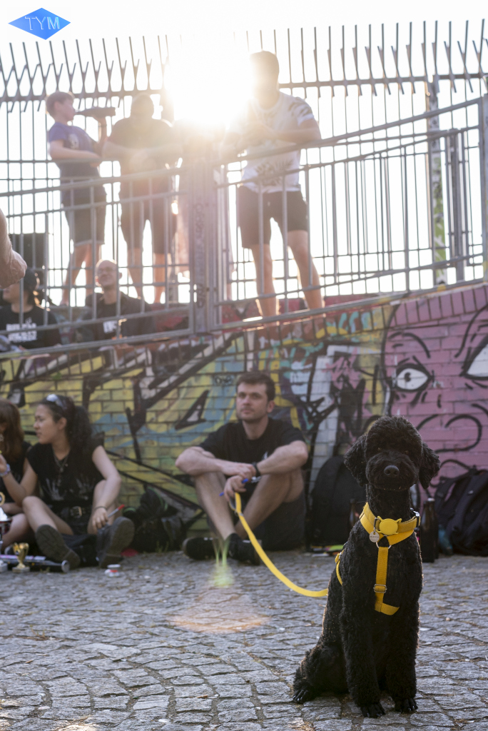 Burnin Berlin Open 2023