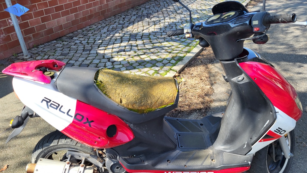 Ostercamp 2023 in Weimar