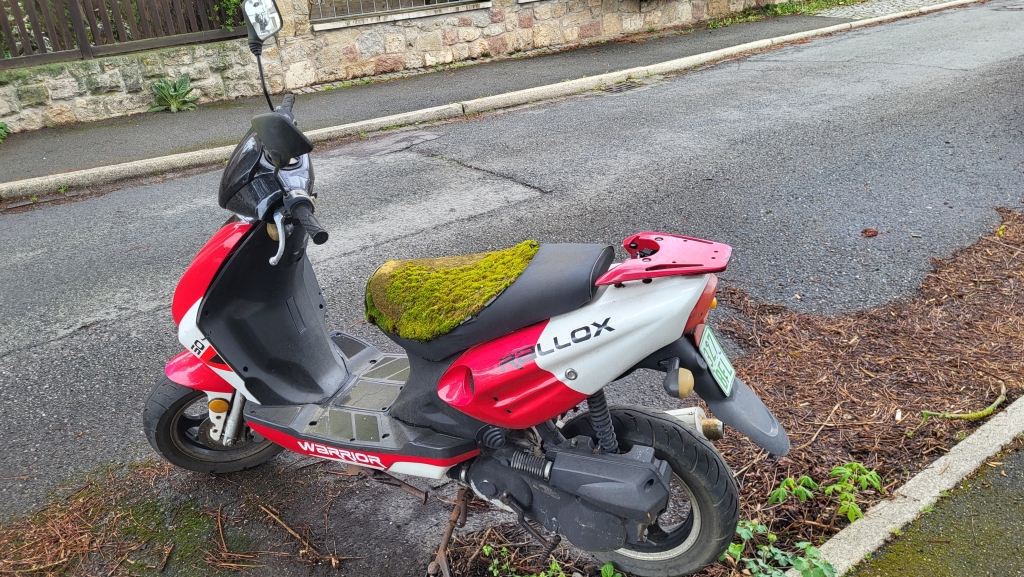 Ostercamp 2025 in Weimar