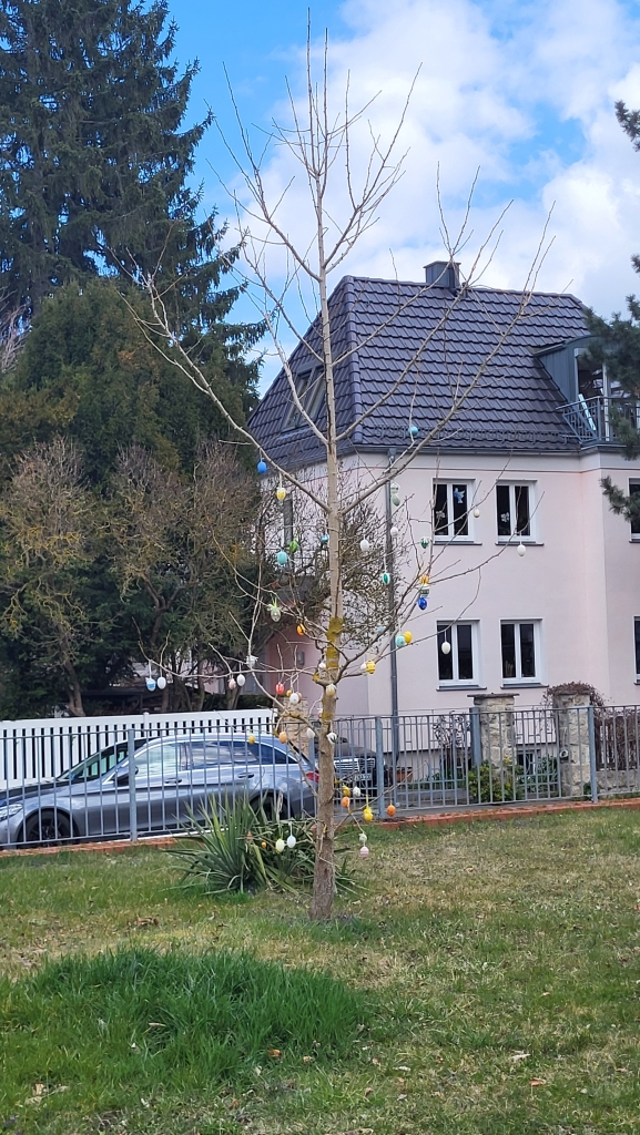 Yo-Yo Ostercamp Weimar 2026