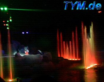 Fantasmic Show