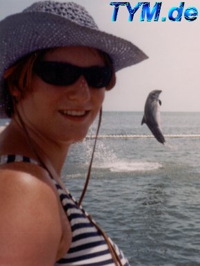 SweetyK and the Dolphin