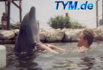 Jumper and the dolphin - handshake