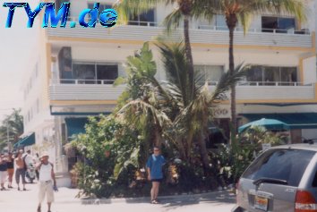 Palmen im Art Deco Viertel